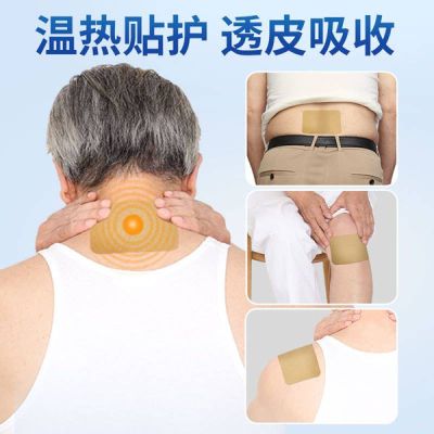 1 Packet 7 Pcs Japanese Back Pain Relief Patches